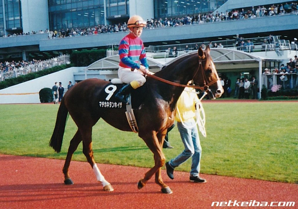 Матиканэ Тангейзер