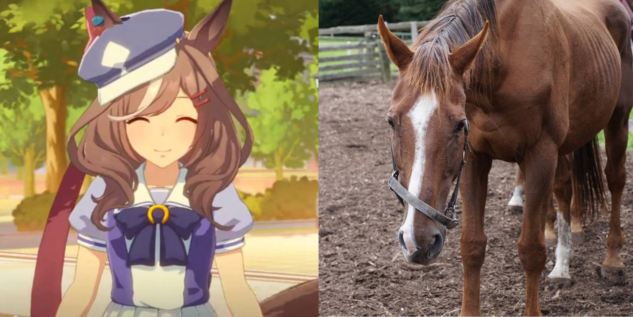 Матиканэ Тангейзер