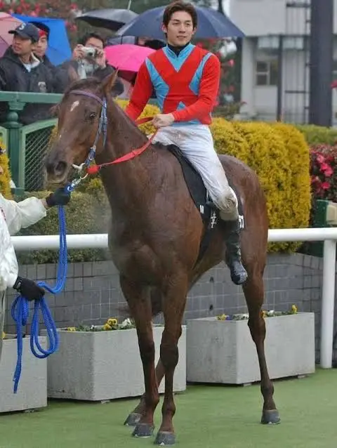 Стилл ин Лав