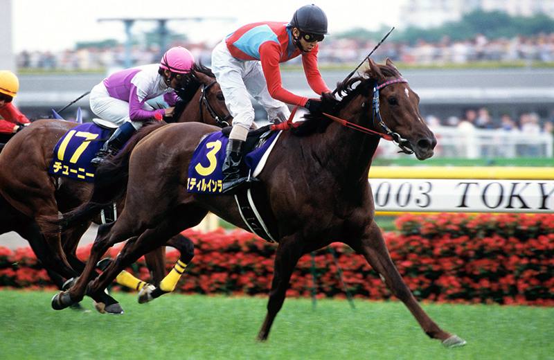 Стилл ин Лав